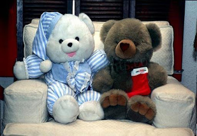 Lovely Teddy Bears Profile Pictures,teddy bears pictures,cute teddy bears,large teddy bears,images of teddy bear