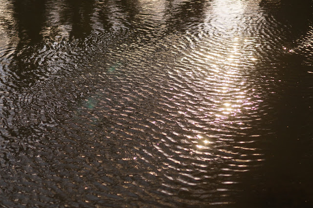 Inspiration from the Norfolk countryside in winter