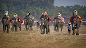 India Elephant Festival