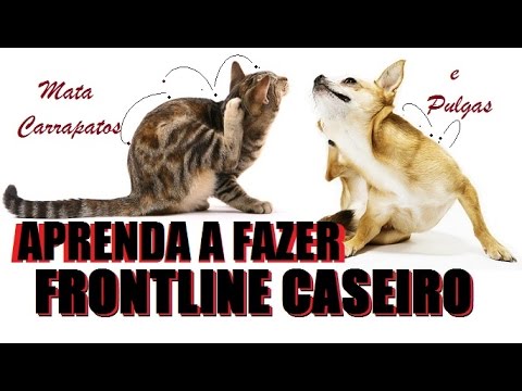 Aprenda a fazer Frontline Caseiro