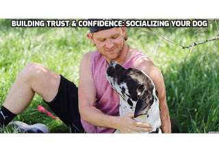 "Building Trust and Confidence: Socializing Your Dog" . This blog post will explain clearly why socialization is crucial for a well-rounded and confident dog. From this blog post, you will be able to learn step by step on how to introduce your furry friend to new people, animals, and environments in a positive and safe way. This blog post will also unlock the secrets to building trust and confidence in your dog through proper socialization techniques.  #SocializingYourDog, #TrustAndConfidenceBuilding, #DogTrainingTips, #ConfidentCanines, #BuildingBonds, #DogSocialization, #TrustYourPup, #ConfidenceBoost, #PawsitiveSocializing, #TrustTheProcess, #ConfidentCompanions, #DoggySocialSkills, #BuildingCanineConfidence, #TrustworthyTails, #ConfidentPooches, #SocializationSuccess, #TrustInTraining, #ConfidenceBuildingJourney, #DoggySocialization, #TrustYourTraining, #ConfidentCanineClub,