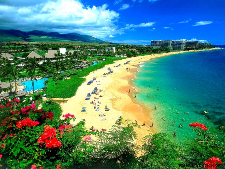 Hawaii – Experience Hawaiian islands Tourist Destinations Hawaii – Experience Hawaiian islands Tourist Destinations
