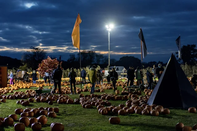 A twilight session at Pumpkin Picking Village at Marsh Farm showing pumpkins at the sun sets