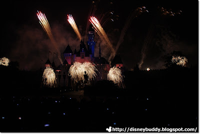 Disney Firework