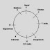 Reasoning Question on Circular Table