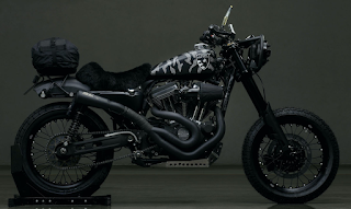 desert wolf sportster 1200 el solitario