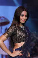 Bollywood, Hot, Actress, at, IIJW, Photos