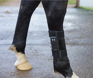 ArcEquine in use on a hind leg.