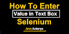 How To Enter The Value In TextBox Using Selenium Webdriver
