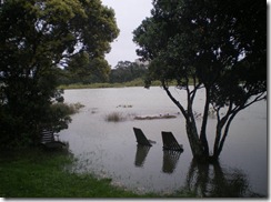 Flood Hauraki Corner