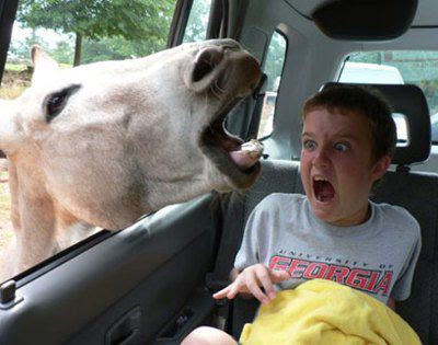scared boy and horse