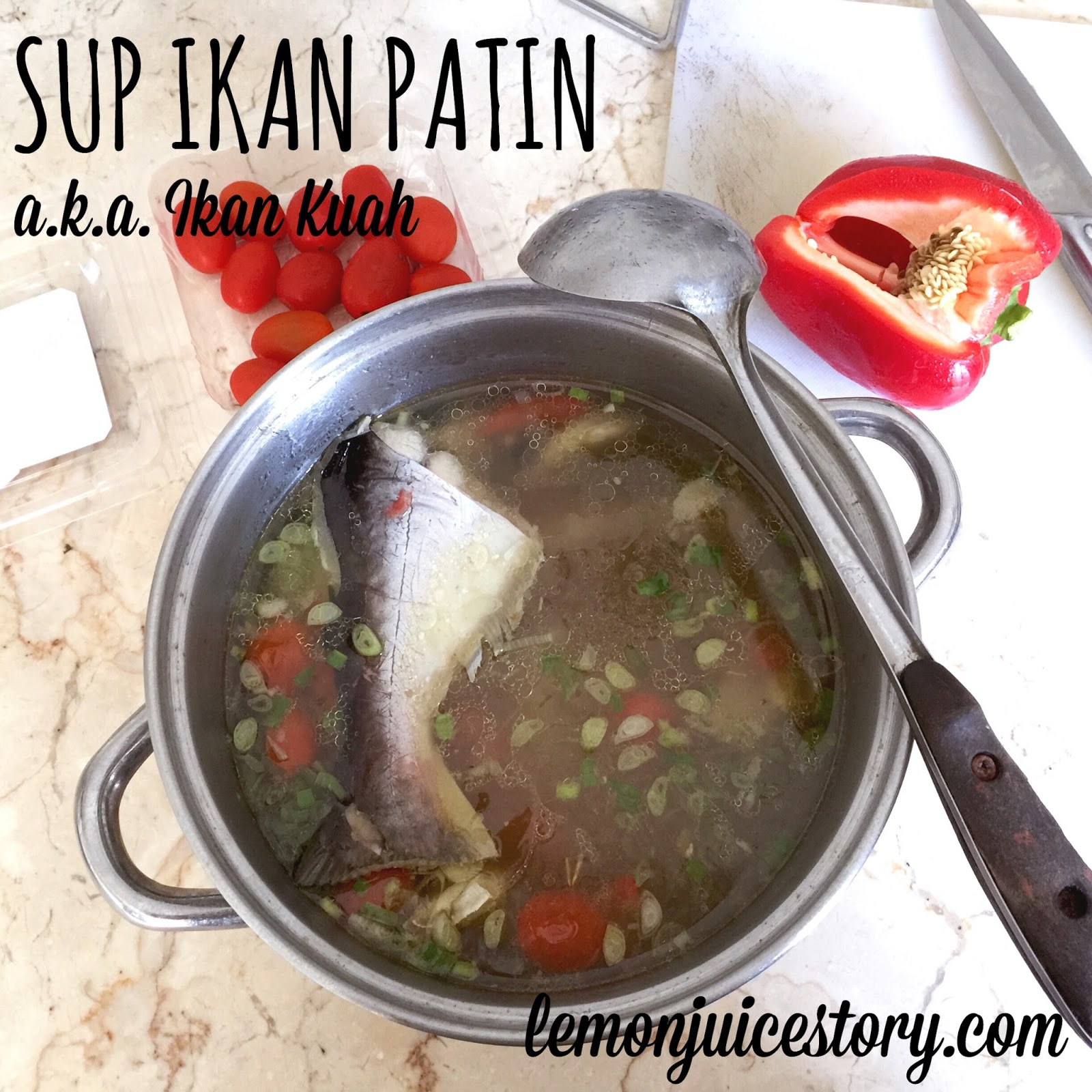 Sup Ikan Patin a.k.a. Ikan Kuah  LEMON JUICE STORY