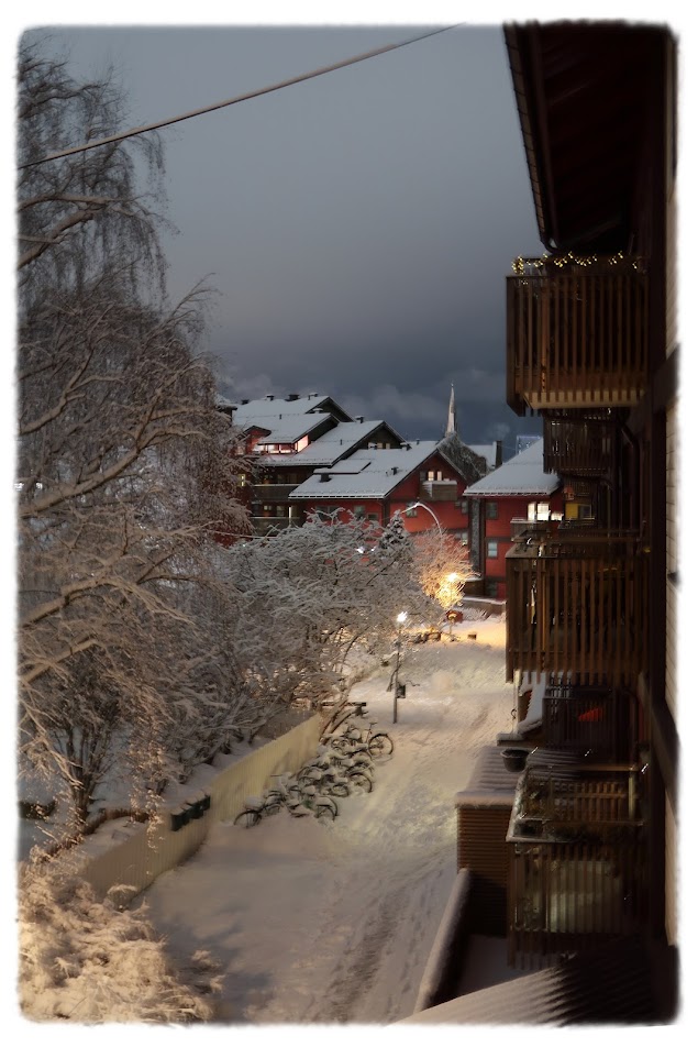 Kveldsutsikt fra Fjellgata 2D til bakgården i Verksgata borettslag på Rodeløkka i Oslo.