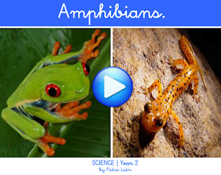 http://dl.dropbox.com/u/61199074/CBM/flash/Science2_Amphibians.swf