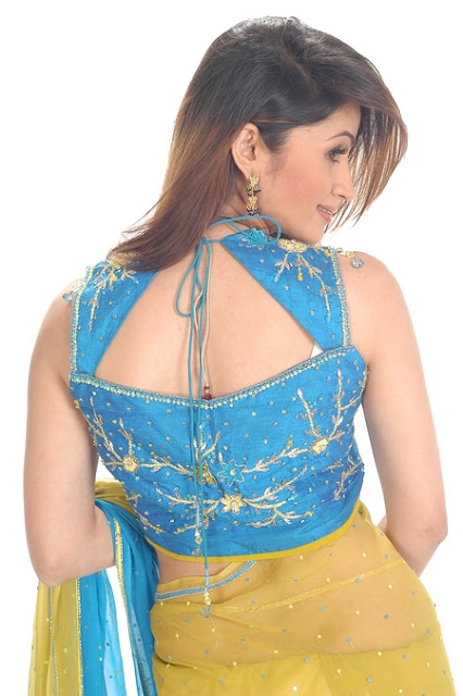 Latest Indian Blouse Designs 2011