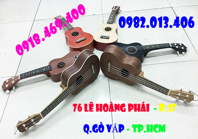 guitar bin tan 1