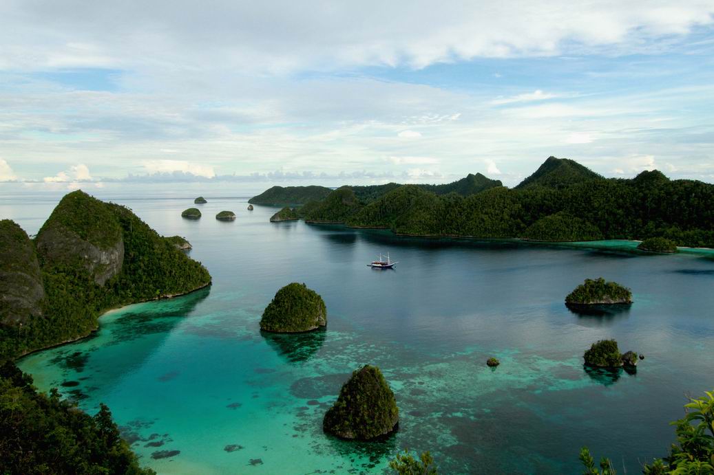 ... in the sea raja ampat considered comprehensive in the world of the 537