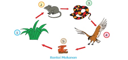 tema 5 kelas 5 subtema 2 pembelajaran 1