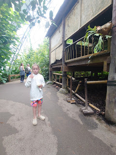 Why visiting the Eden Project as a family is a must!