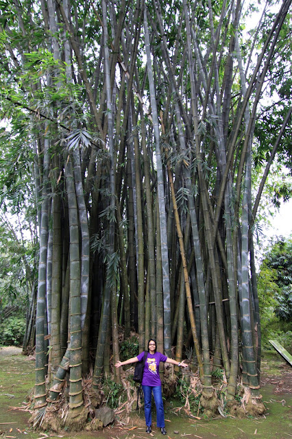 Scdha Sein Photo And Travel: Kembara Jakarta - Makam 