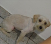 Billy1