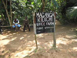 Maganga Kidhichi Spice Farm