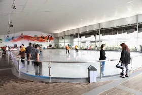 Cara Bermain di Tempat Ice Skating di Bandung