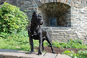 Cane Corso Wallpapers (cane corso wallpapers )