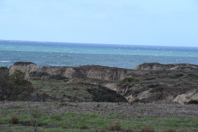Pacific Coast Highway (2)