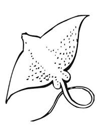 Best Images Of Stingray Coloring Sheet Sea Animals