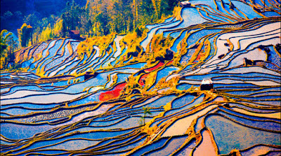 Beautiful Place Rice Field Terraces in Yunnan China