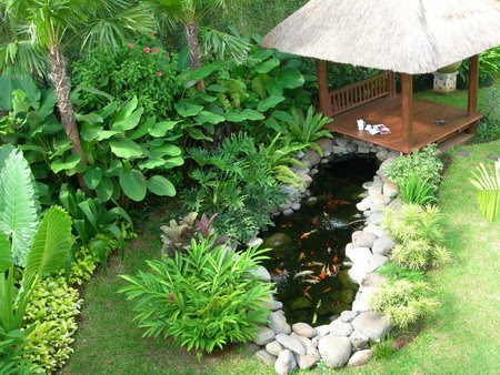 Top Konsep Taman Minimalis Belakang Rumah Dengan Kolam Ikan