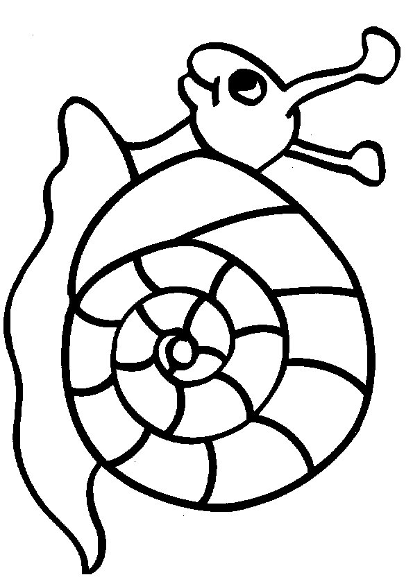 Snail Printable Coloring Sheet for Kids by Child Coloring