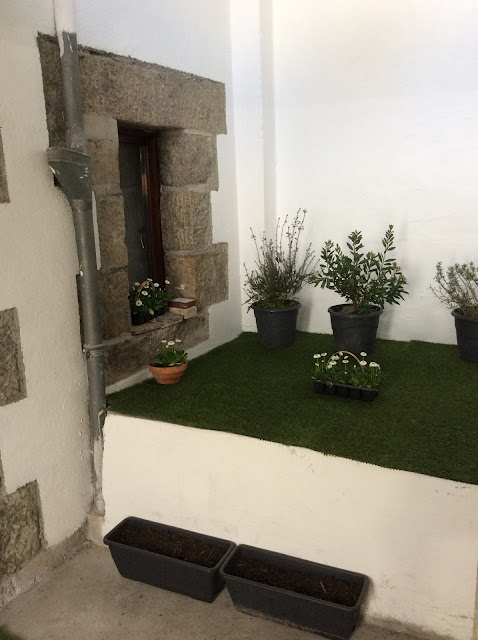 indoor garden, Brittany France