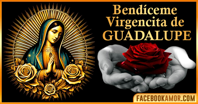 Imágenes de la Virgen de Guadalupe con frases