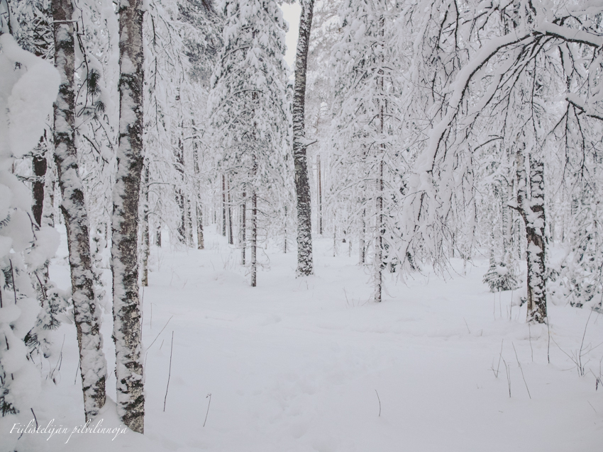 Suomussalmi Kainuu