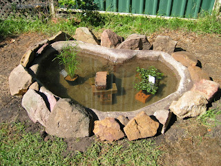 Frog pond before