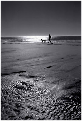 Walking close to the sea