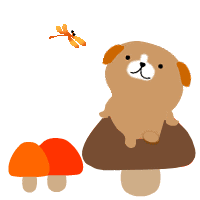 動画きのこわんこ