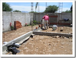 Walls going up, Tasha 008