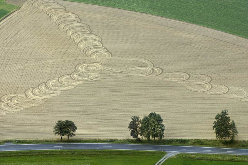 Agricultural landscape