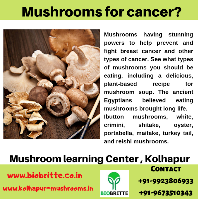 Mushroom for  Cancer?