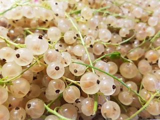 White Currants: A Sweet & Tart Powerhouse with Global Reach