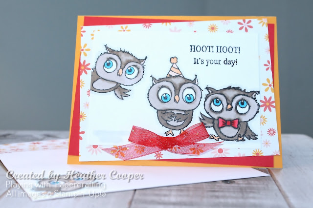 adorable owls card from sab
