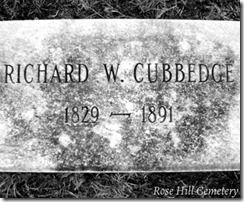 cubbedge16976ph