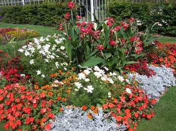2010.08.13-030 jardin d'essais