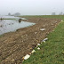 Waterschap ruimt drijfafval op na hoogwater