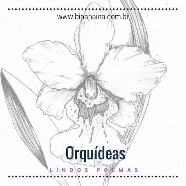 Lindos Poemas Sobre as Orquídeas