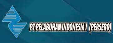 Lowongan Pilot atau Pandu Kapal di Provinsi Nanggroe Aceh Darussalam, Sumatera, Utara, Riau, dan Kepulauan Riau