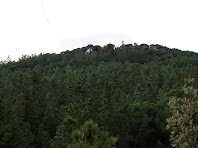 L'Àngel des del torrent de Montbarbat